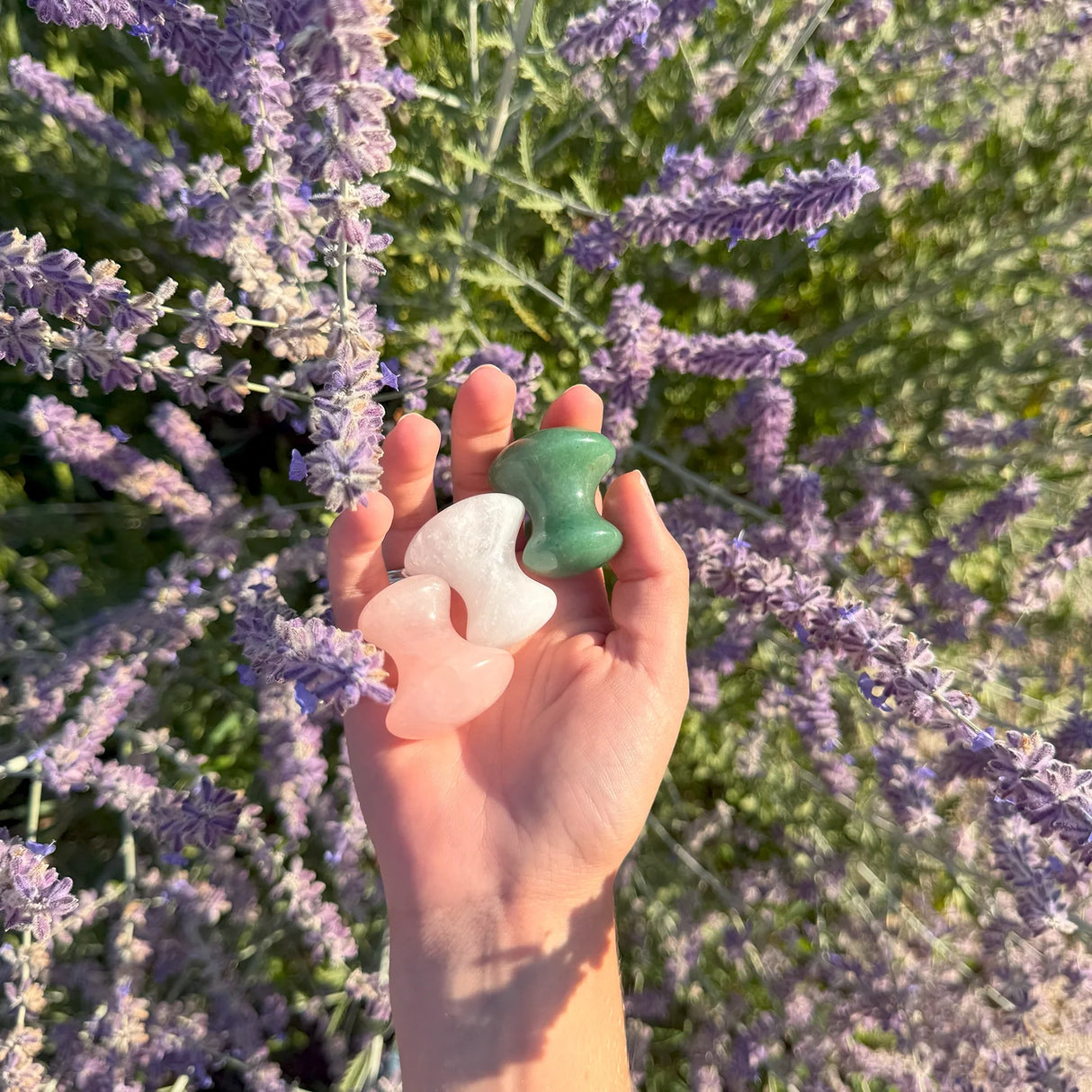 Gua Sha Mushroom - White Jade