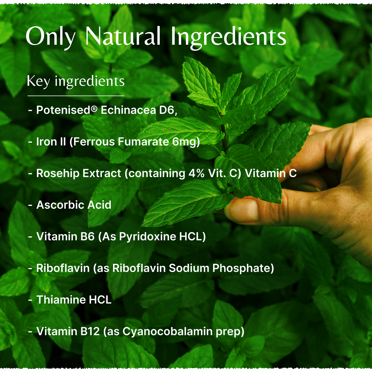 House of Mistry Herbal Vitamin Iron Tonic