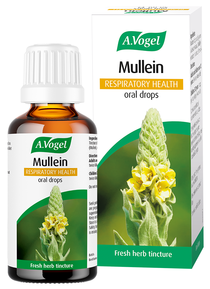 A.Vogel Mullein Respiratory Health oral drops