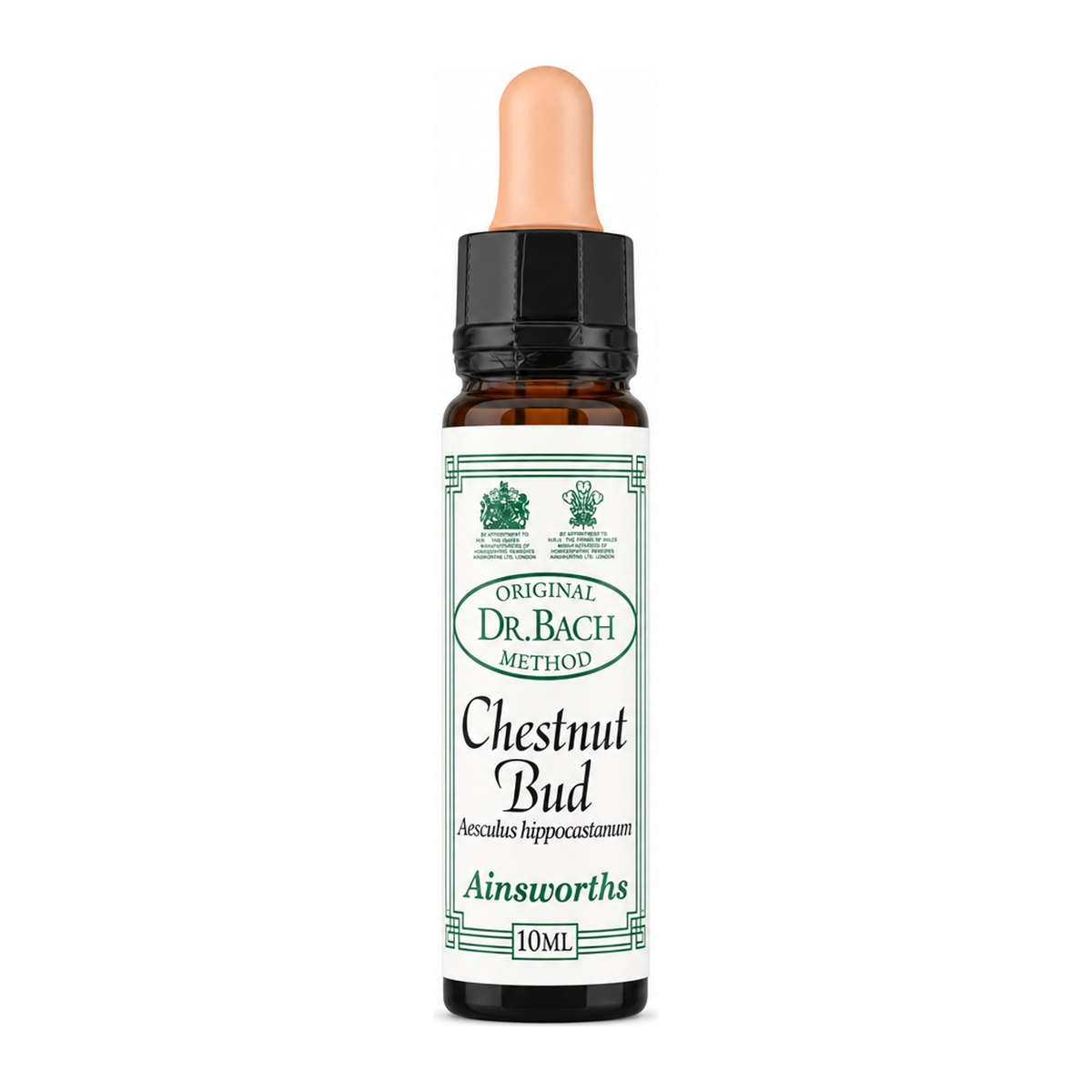 Dr Bach Chestnut Bud Bach Flower Remedy by Ainsworths Natural Remedies — front view showing product label and branding, studio product photo on white background