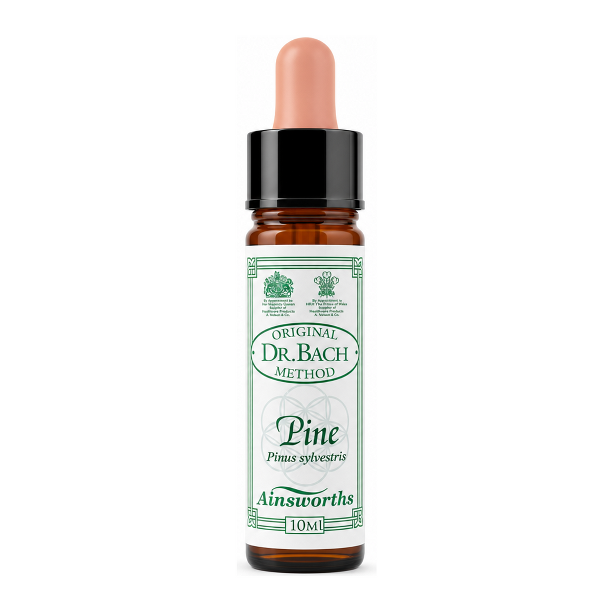 Dr Bach Pine Bach Flower Remedy by Ainsworths Natural Remedies — front view showing product label and branding, studio product photo on white background