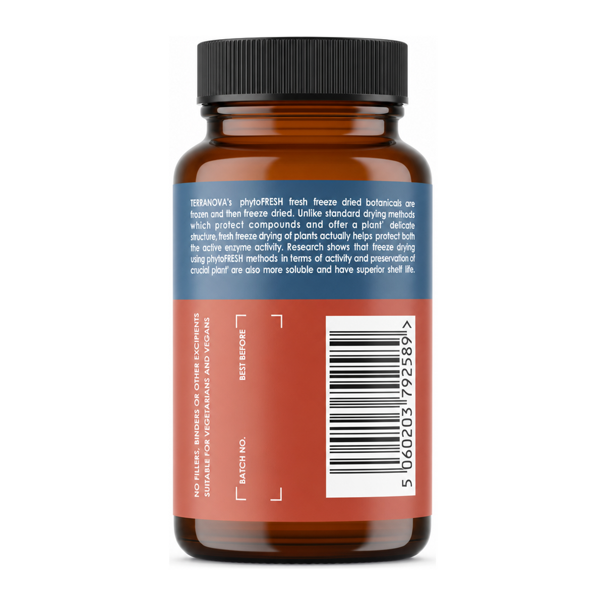Terranova Astragalus 500mg by Terranova Natural Remedies — back view showing ingredients and product details, studio product photo on white background