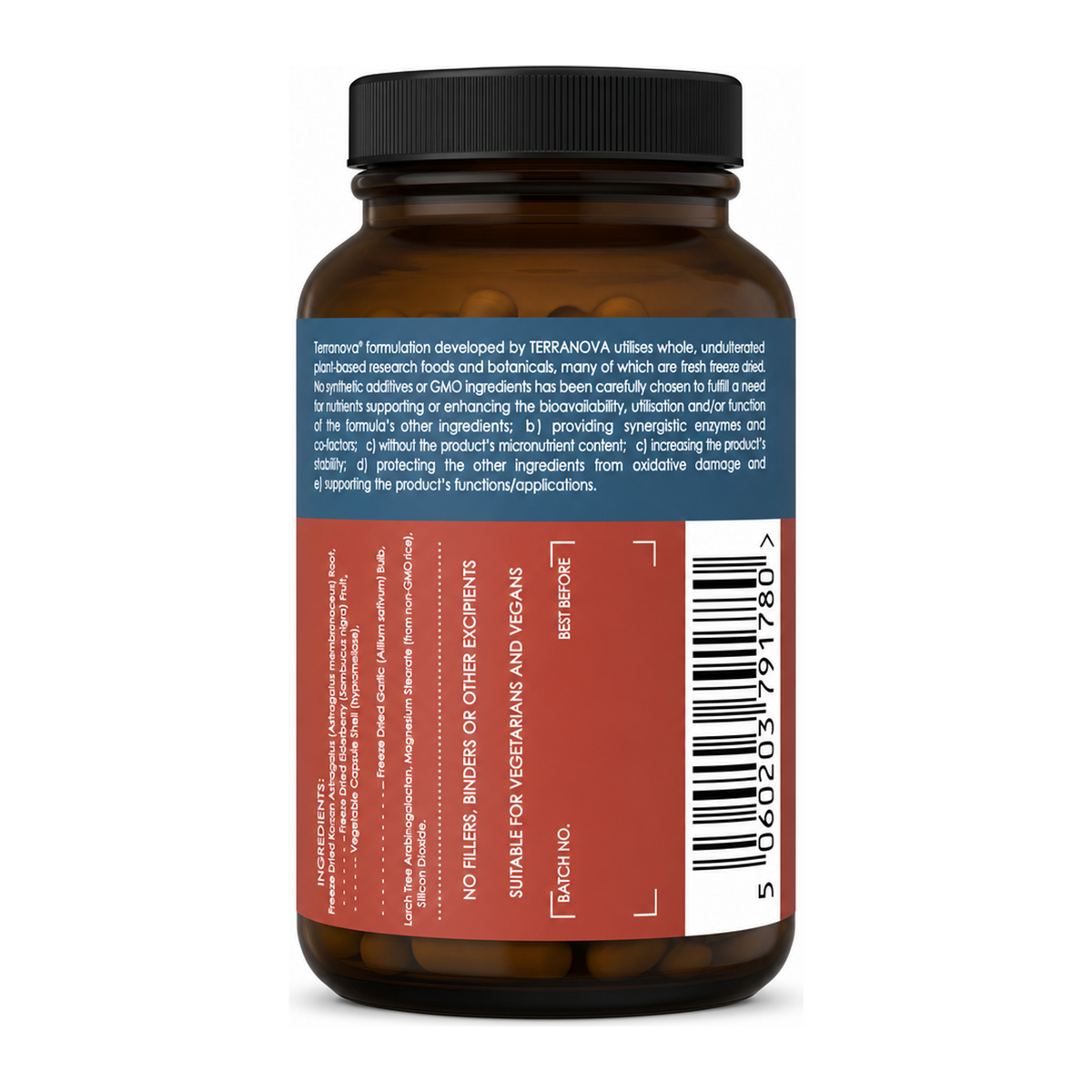 Terranova Astragalus, Elderberry & Garlic Complex by Terranova Natural Remedies — back view showing ingredients and product details, studio product photo on white background