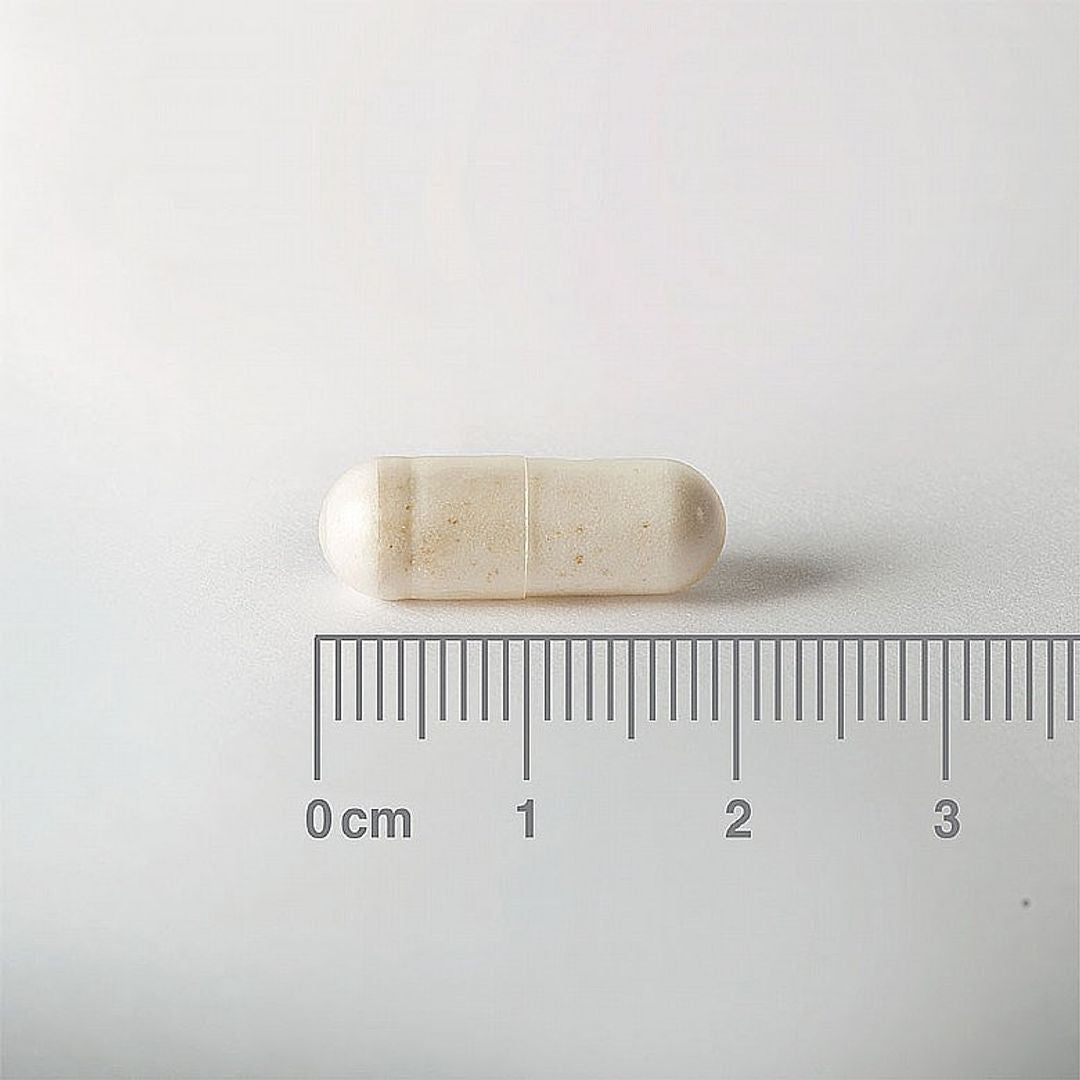 Lamberts Biome Balance Youth