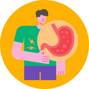 Digestion & Gut Microbiome