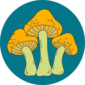 Functional Mushrooms