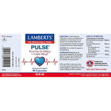 Lamberts Pulse