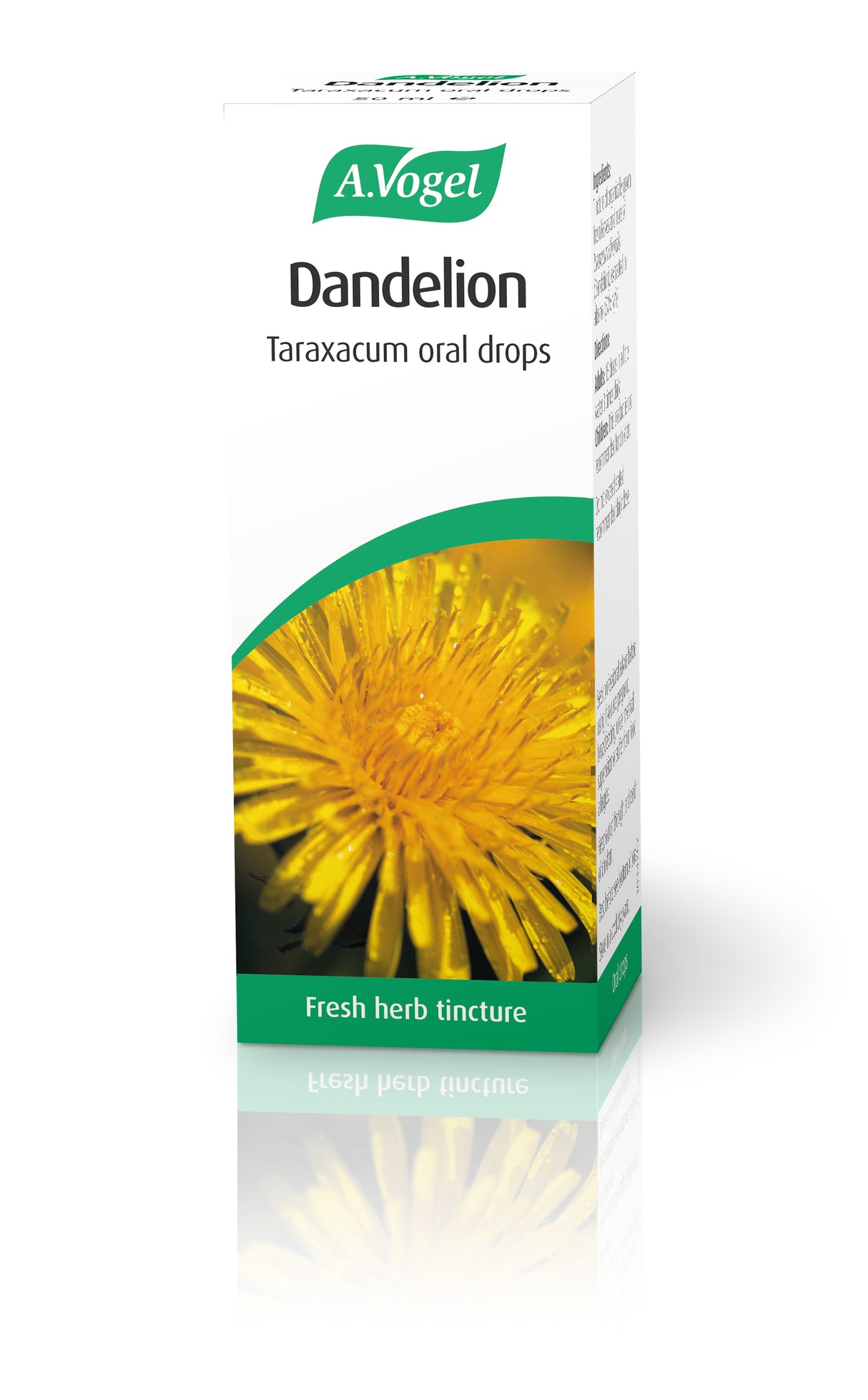 A.Vogel Dandelion