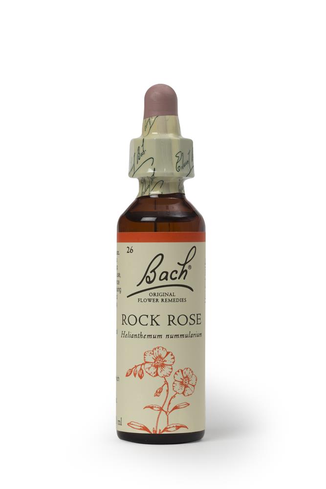 Bach Original Flower Remedies Rock Rose