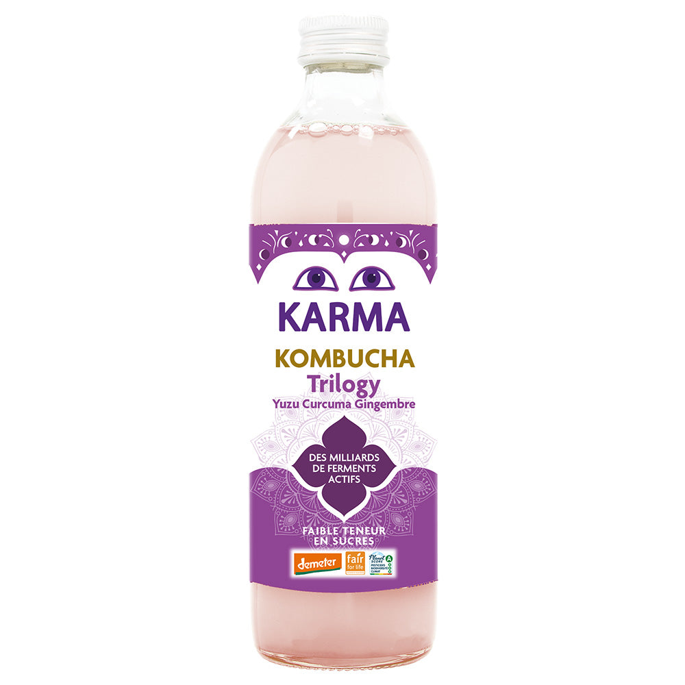 Karma Kombucha Ginger Trilogy