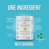 VitaZam Aquamarine Shimmer collagen powder container with product details on a blue background