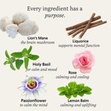 The Herbtender - And Breathe Organic Tea