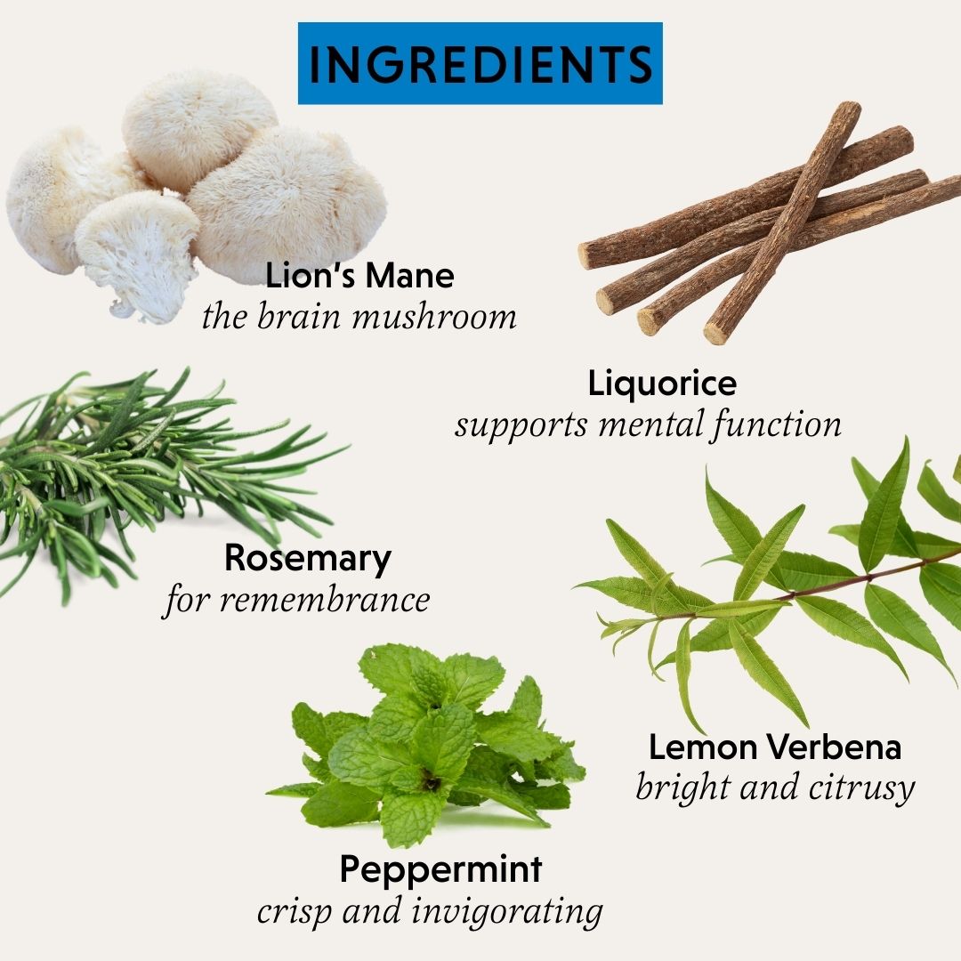 The Herbtender Organic - Pure Focus Organic Tea