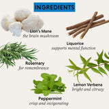 The Herbtender Organic - Pure Focus Organic Tea