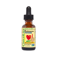 A 9 fl oz amber glass dropper bottle of ChildLife Echinacea dietary supplement with a black dropper cap and a yellow label, shown on a plain white background.