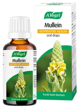 A.Vogel Mullein Respiratory Health oral drops