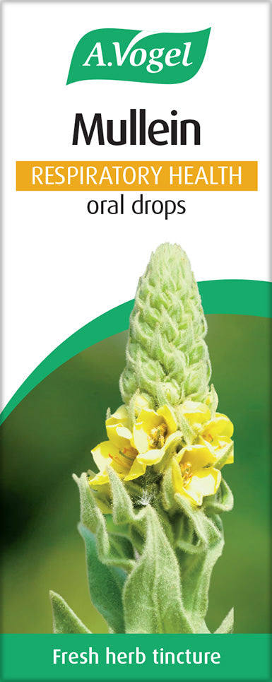 A.Vogel Mullein Respiratory Health oral drops