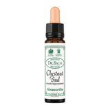 Dr Bach Chestnut Bud Bach Flower Remedy by Ainsworths Natural Remedies — front view showing product label and branding, studio product photo on white background