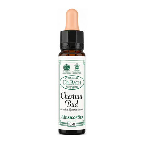 Dr Bach Chestnut Bud Bach Flower Remedy by Ainsworths Natural Remedies — front view showing product label and branding, studio product photo on white background