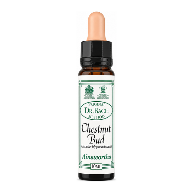 Dr Bach Chestnut Bud Bach Flower Remedy by Ainsworths Natural Remedies — front view showing product label and branding, studio product photo on white background
