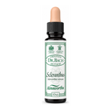 Dr. Bach Scleranthus Bach Flower Remedy by Ainsworths Natural Remedies — front view showing product label and branding, studio product photo on white background