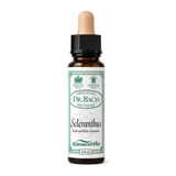 Dr. Bach Scleranthus Bach Flower Remedy by Ainsworths Natural Remedies — front view showing product label and branding, studio product photo on white background