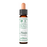 Dr Bach Mimulus Bach Flower Remedy by Ainsworths Natural Remedies — front view showing product label and branding, studio product photo on white background