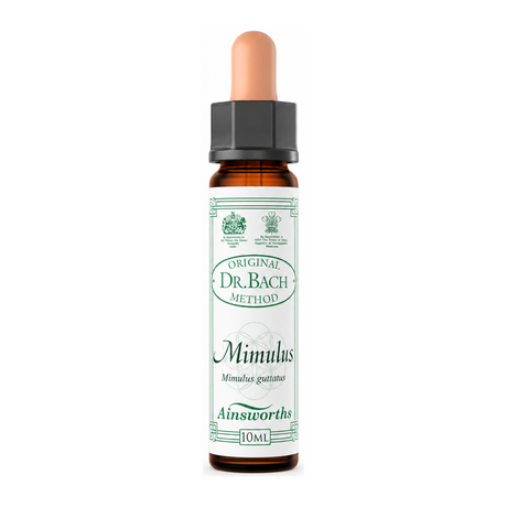 Dr Bach Mimulus Bach Flower Remedy by Ainsworths Natural Remedies — front view showing product label and branding, studio product photo on white background