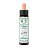 Dr Bach Larch Bach Flower Remedy by Ainsworths Natural Remedies — front view showing product label and branding, studio product photo on white background