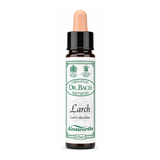 Dr Bach Larch Bach Flower Remedy by Ainsworths Natural Remedies — front view showing product label and branding, studio product photo on white background
