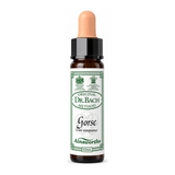 Dr. Bach Gorse Bach Flower Remedy by Ainsworths Natural Remedies — front view showing product label and branding, studio product photo on white background