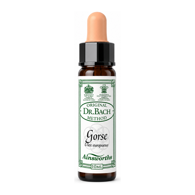 Dr. Bach Gorse Bach Flower Remedy by Ainsworths Natural Remedies — front view showing product label and branding, studio product photo on white background