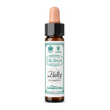 Dr Bach Holly Bach Flower Remedy by Ainsworths Natural Remedies — front view showing product label and branding, studio product photo on white background