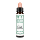 Dr Bach Cerato Bach Flower Remedy by Ainsworths Natural Remedies — front view showing product label and branding, studio product photo on white background