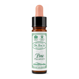 Dr Bach Pine Bach Flower Remedy by Ainsworths Natural Remedies — front view showing product label and branding, studio product photo on white background