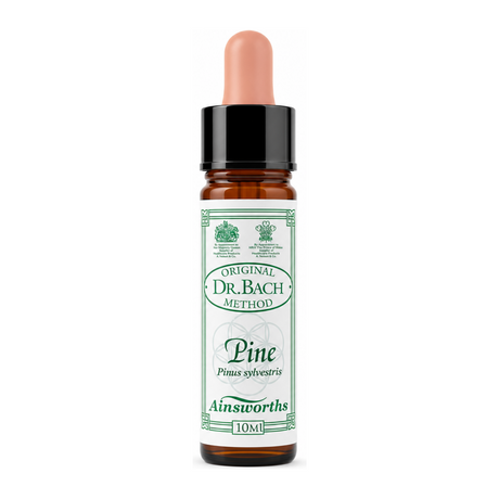 Dr Bach Pine Bach Flower Remedy by Ainsworths Natural Remedies — front view showing product label and branding, studio product photo on white background