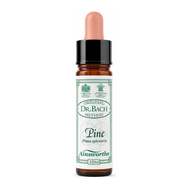 Dr Bach Pine Bach Flower Remedy by Ainsworths Natural Remedies — front view showing product label and branding, studio product photo on white background