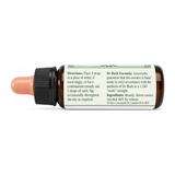 Dr Bach Pine Bach Flower Remedy by Ainsworths Natural Remedies — back view showing ingredients and product details, studio product photo on white background