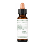 Dr Bach Sweet Chestnut Bach Flower Remedy by Ainsworths Natural Remedies — back view showing ingredients and product details, studio product photo on white background