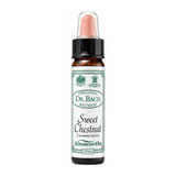 Dr Bach Sweet Chestnut Bach Flower Remedy by Ainsworths Natural Remedies — front view showing product label and branding, studio product photo on white background