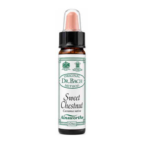 Dr Bach Sweet Chestnut Bach Flower Remedy by Ainsworths Natural Remedies — front view showing product label and branding, studio product photo on white background