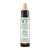 Dr Bach Water Violet Bach Flower Remedy by Ainsworths Natural Remedies — front view showing product label and branding, studio product photo on white background