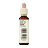 Bach Original Flower Remedies Rock Rose by Bach Natural Remedies — back view showing ingredients and product details, studio product photo on white background