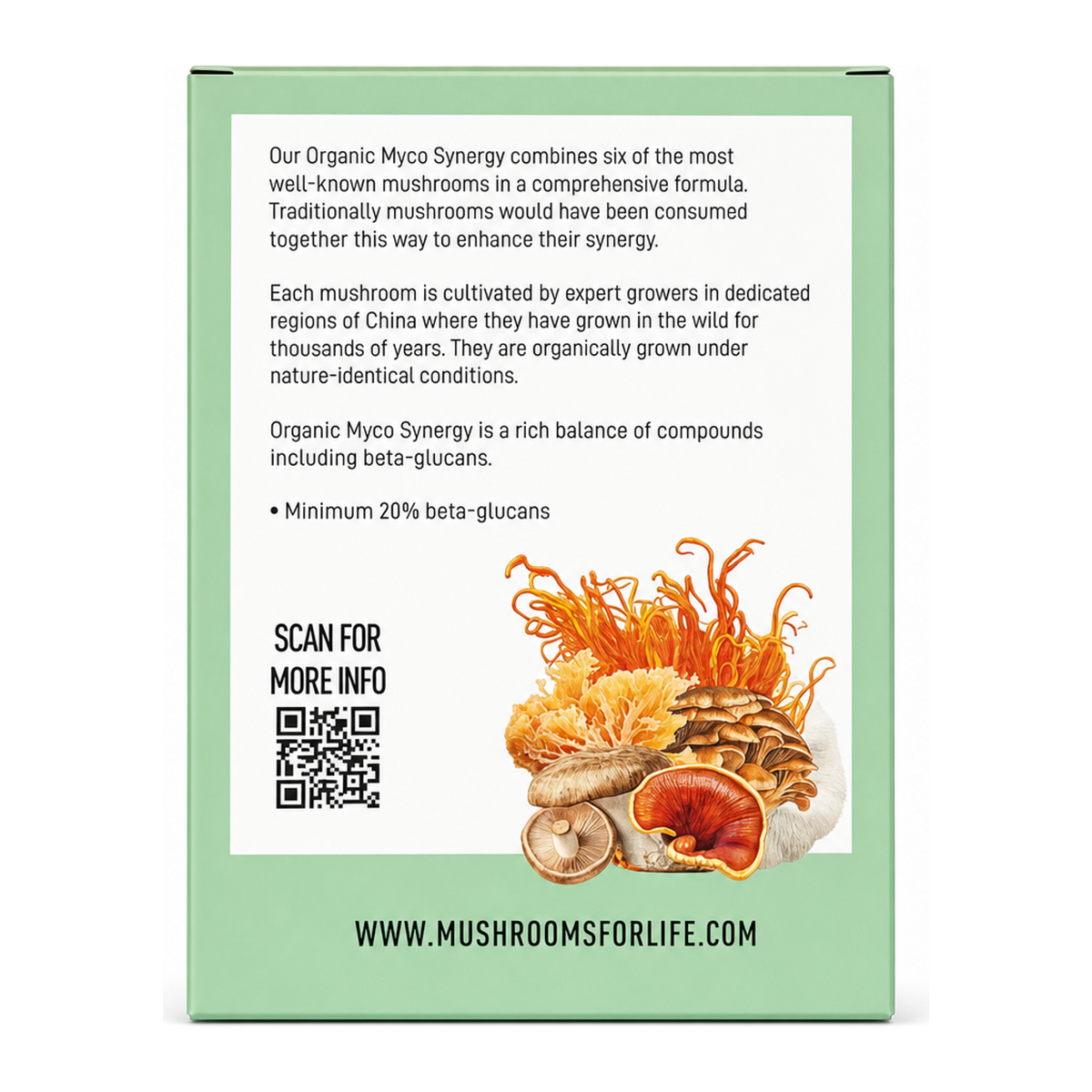Mushrooms For Life Organic Myco Synergy Powder by Mushrooms For Life Natural Remedies — back view showing ingredients and product details, studio product photo on white background