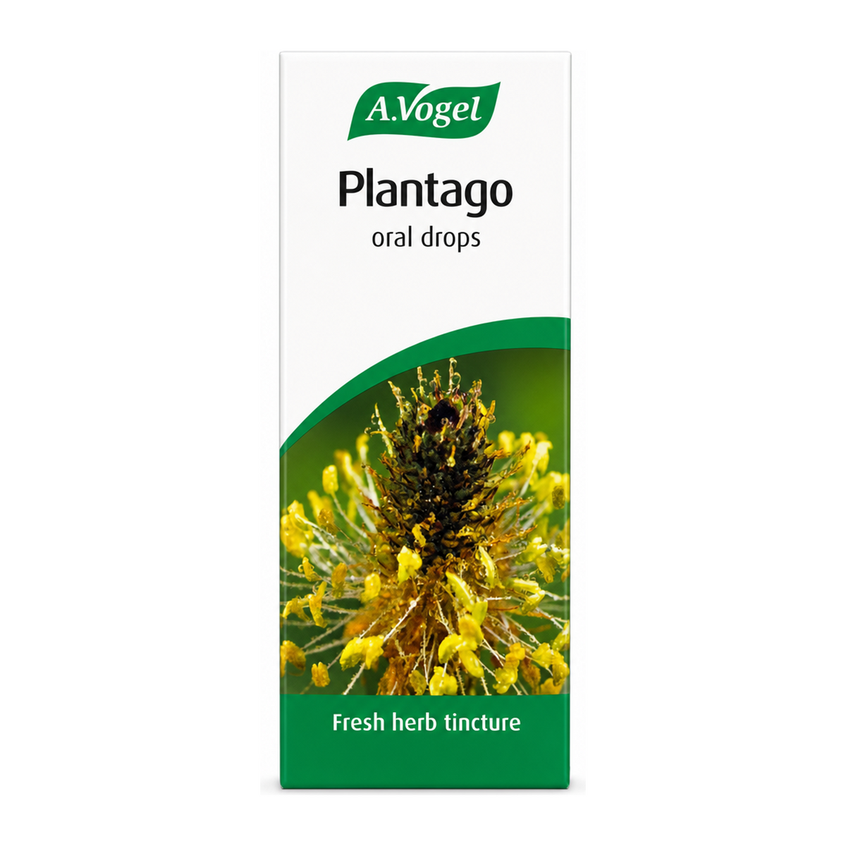 A.Vogel Plantago lanceolata by A.Vogel Natural Remedies — front view showing product label and branding, studio product photo on white background