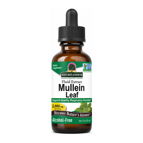 NATURE'S ANSWER Mullein Leaf by Nature's Answer No Category Available — front view showing product label and branding, studio product photo on white background