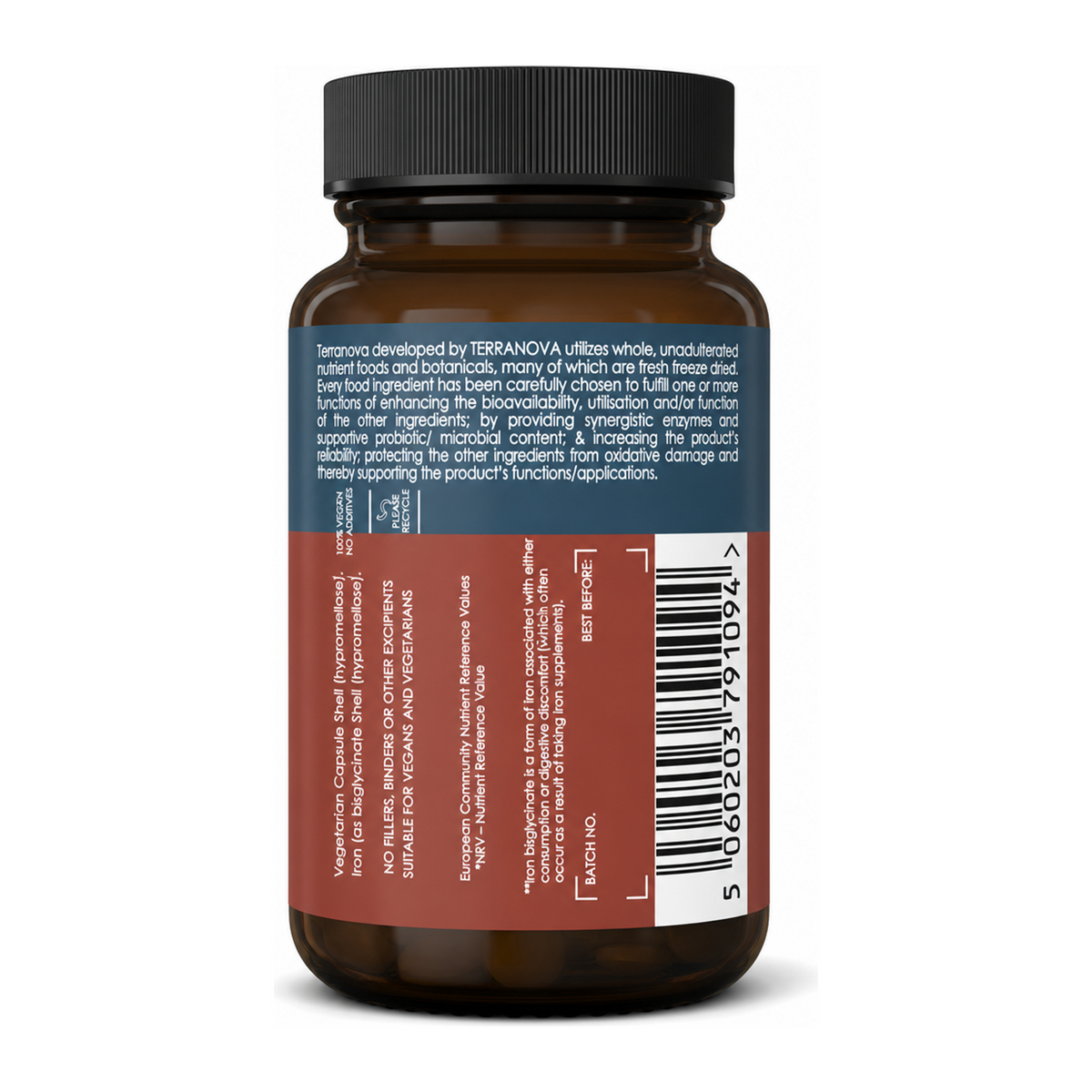 Terranova Easy Iron 20mg Complex by Terranova Natural Remedies — back view showing ingredients and product details, studio product photo on white background