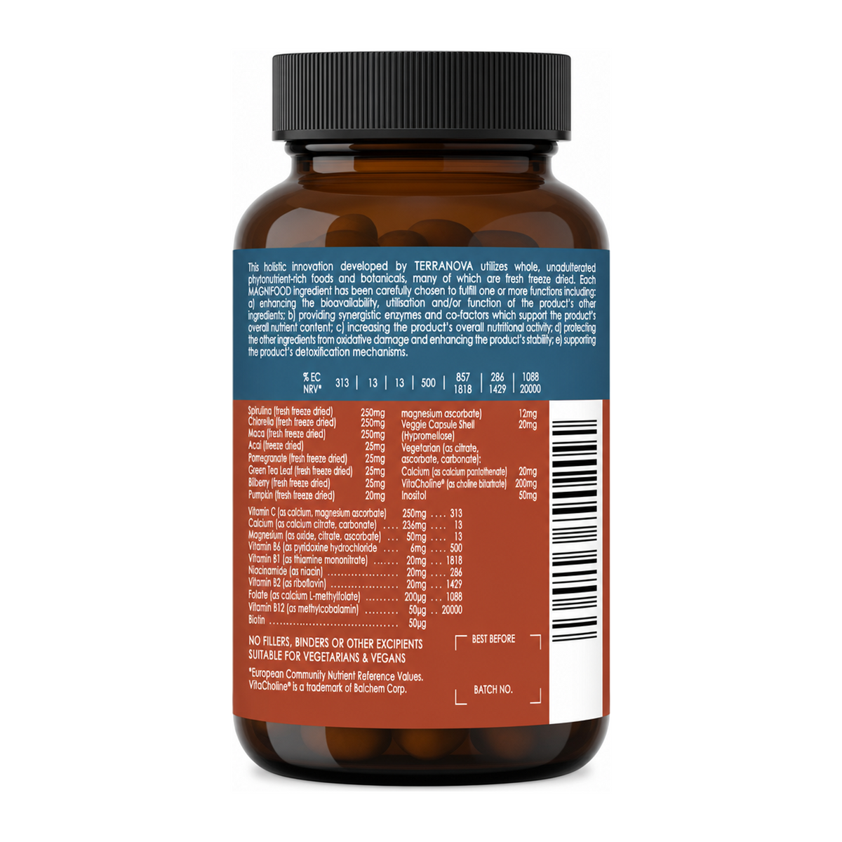 Terranova B-Complex with Vitamin C by Terranova Natural Remedies — back view showing ingredients and product details, studio product photo on white background