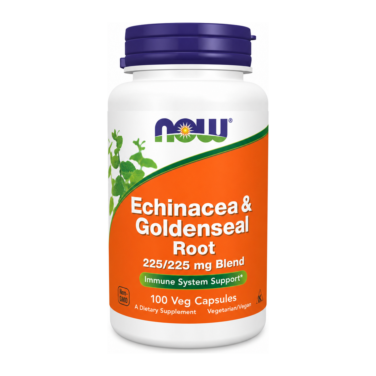 NOW Now C- Echinacea & Goldenseal by Now Vitamin & Mineral Supplements — front view showing product label and branding, studio product photo on white background
