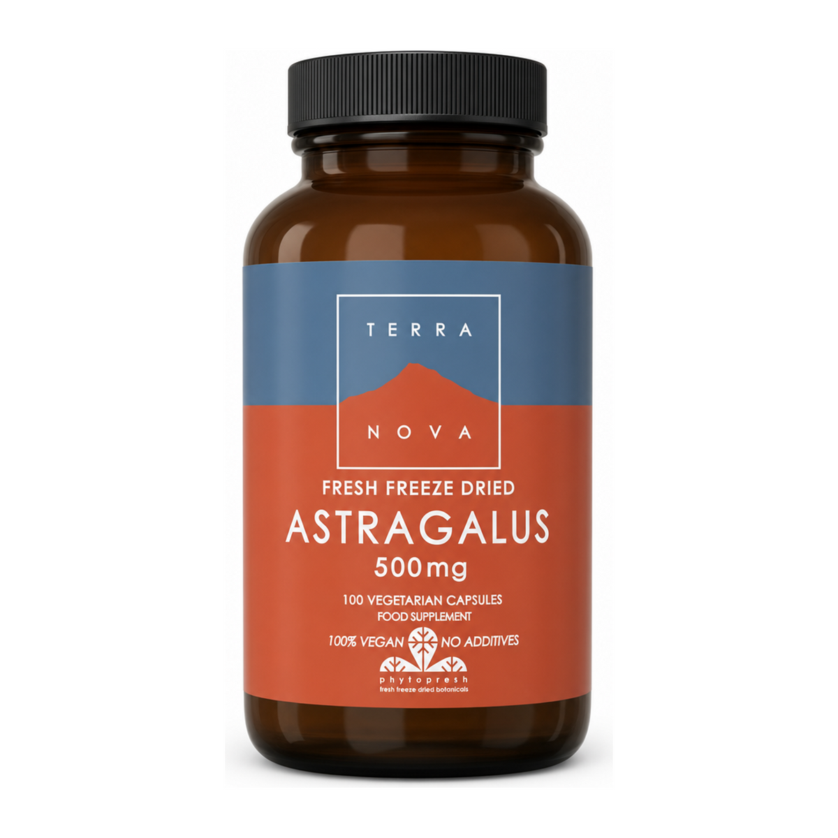 Terranova Astragalus 500mg by Terranova Natural Remedies — front view showing product label and branding, studio product photo on white background